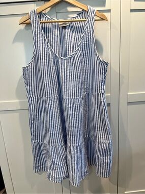 Universal Thread Blue and White Striped Dress